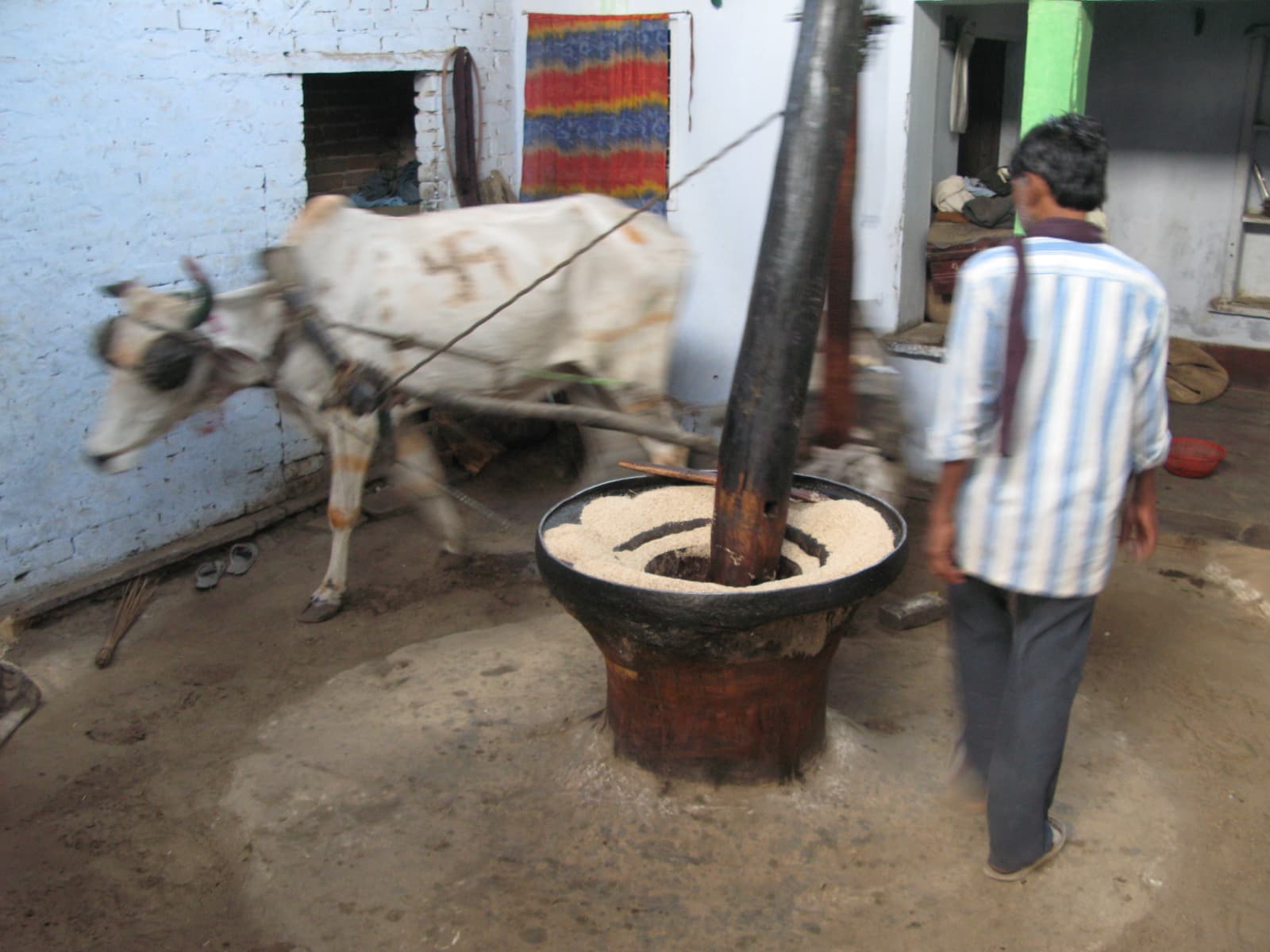 Cold-Pressed Mustard Oil — view 2