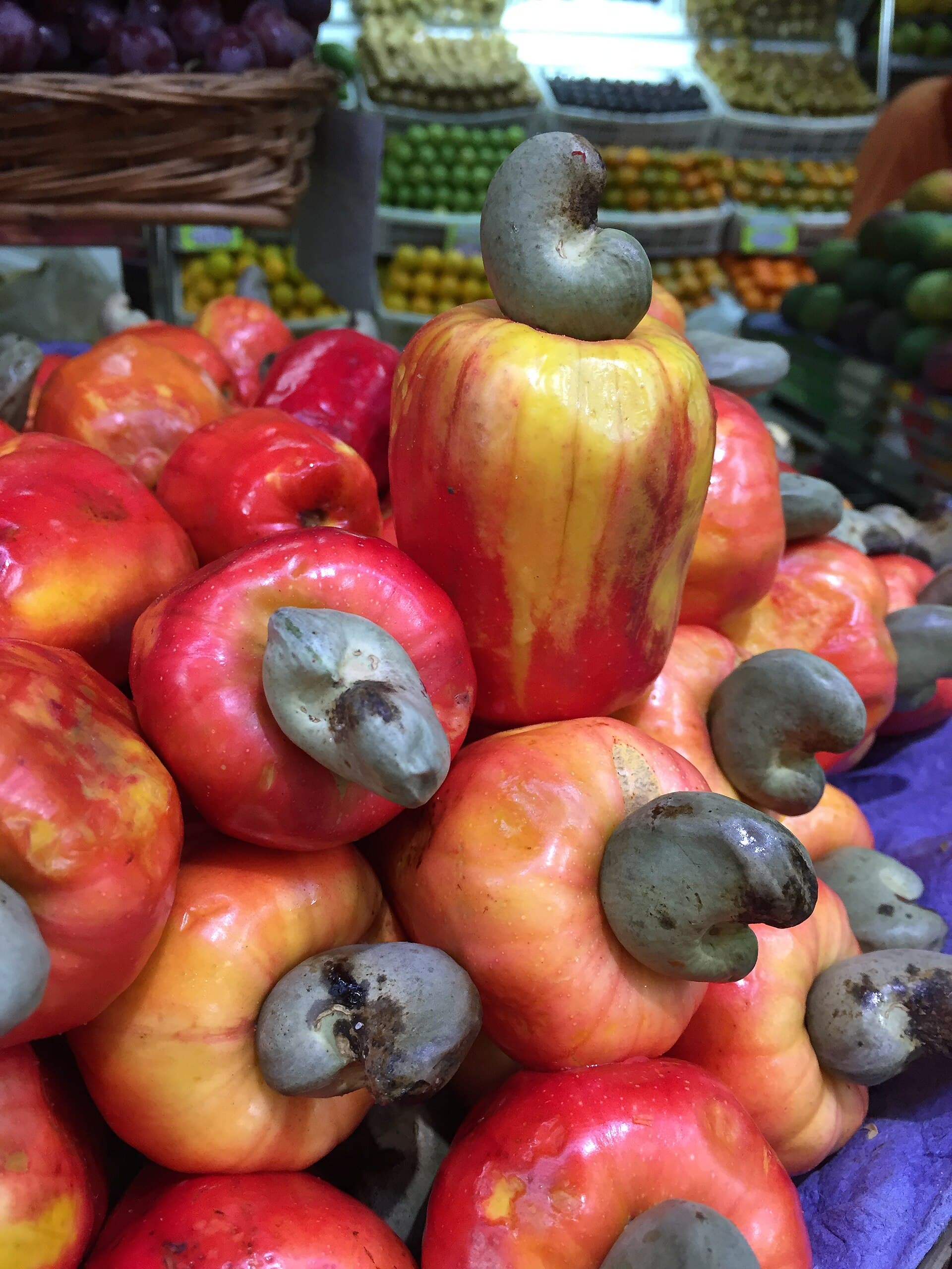 Whole Cashew Nuts (W240) — view 3