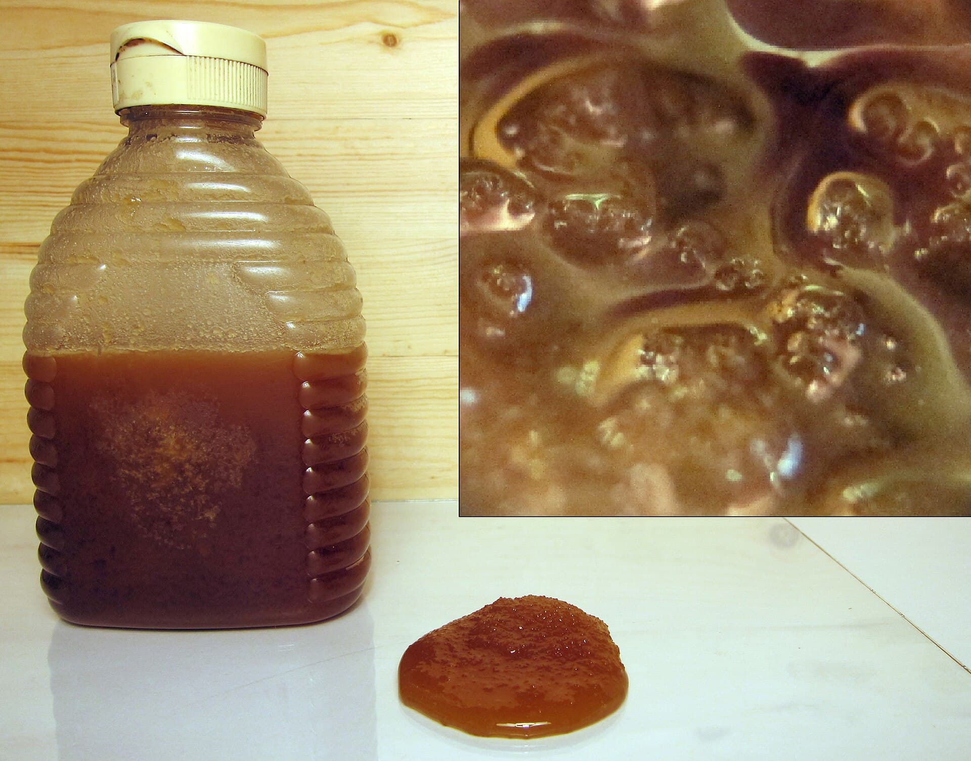Raw Wild Forest Honey — view 3