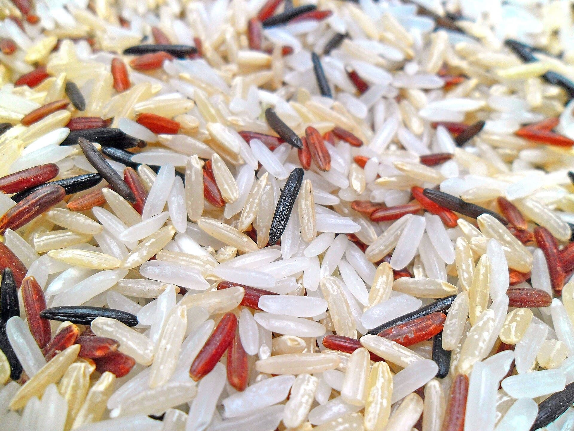 Unpolished Red Rice — where it comes from