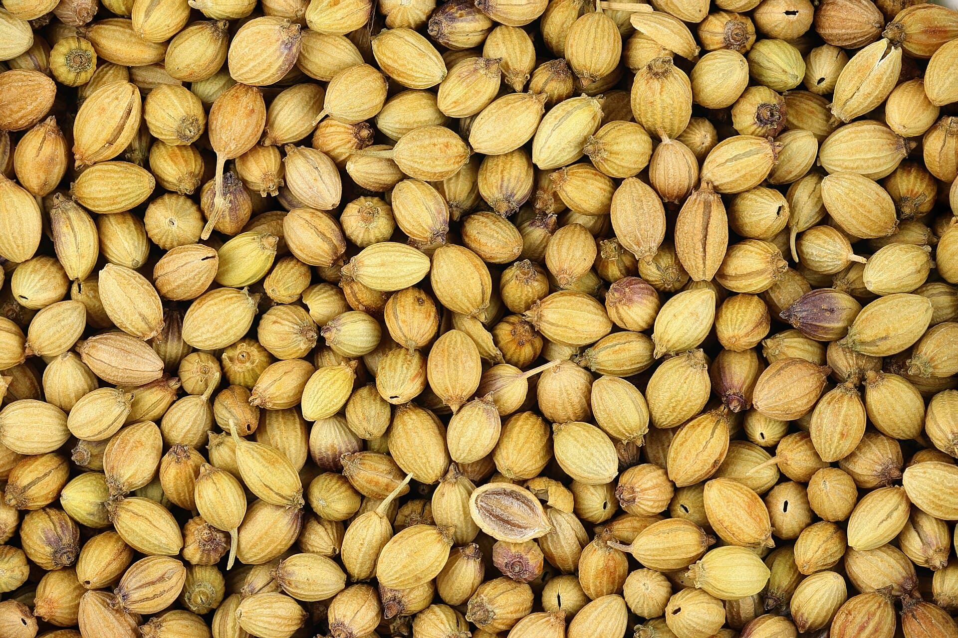 Whole Coriander Seed